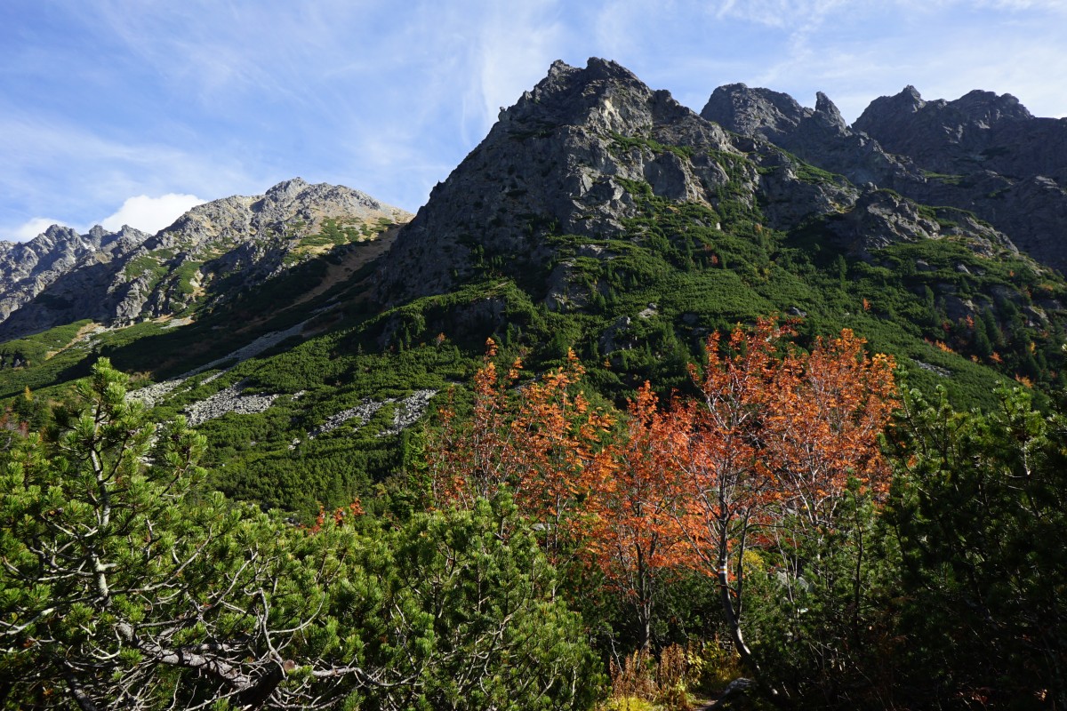 Zdjęcia: Dolina Mięguszowiecka , Tatry Wysokie, Jak płomień, SłOWACJA Zdjęcia: Dolina Mięguszowiecka , Tatry Wysokie, Jak płomień, SłOWACJA