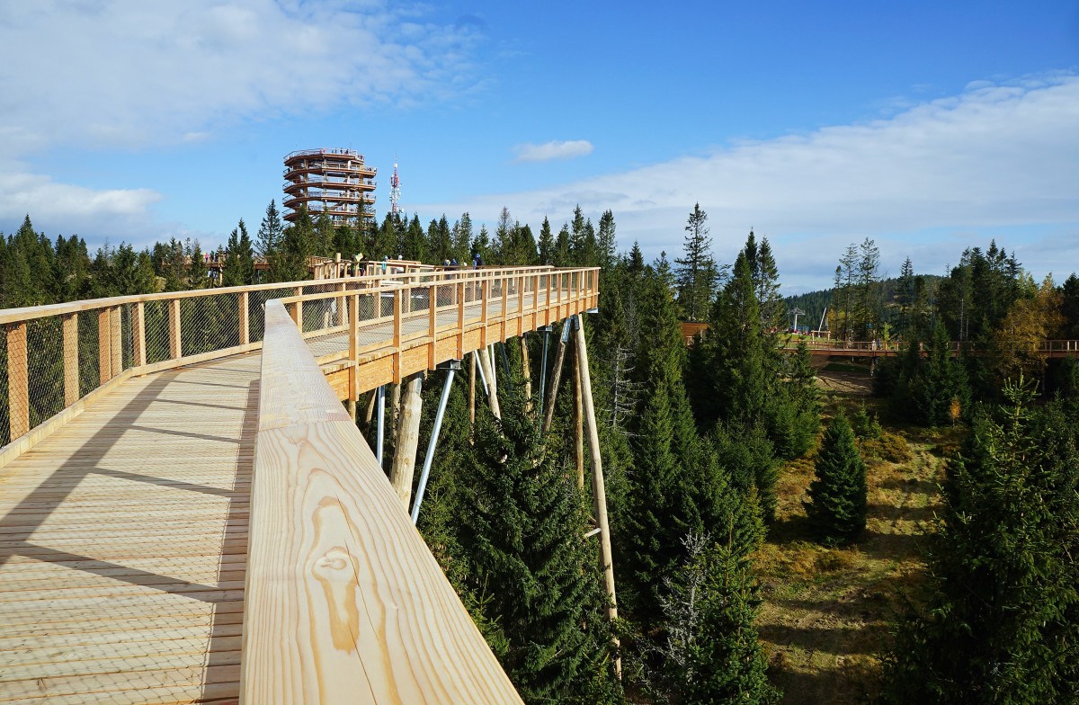 Zdjęcia: Bachledowa Dolina, Tatry Bielskie, Ponad drzewami, SłOWACJA Zdjęcia: Bachledowa Dolina, Tatry Bielskie, Ponad drzewami, SłOWACJA