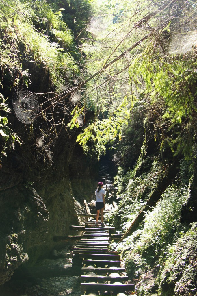 Zdjęcia: Sucha Bela, Słowacki Raj, SłOWACJA Zdjęcia: Sucha Bela, Słowacki Raj, SłOWACJA