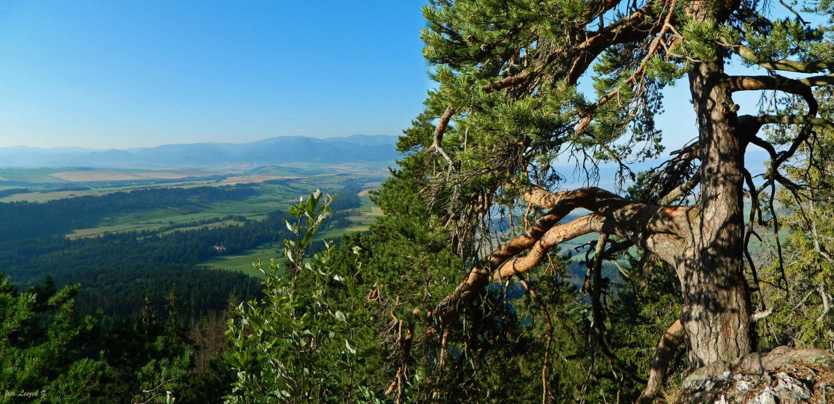 Zdjęcia: Bobrowiec., Babky 1566 m., Ze szlaku w Tatrach Zachodnich., SłOWACJA Zdjęcia: Bobrowiec., Babky 1566 m., Ze szlaku w Tatrach Zachodnich., SłOWACJA
