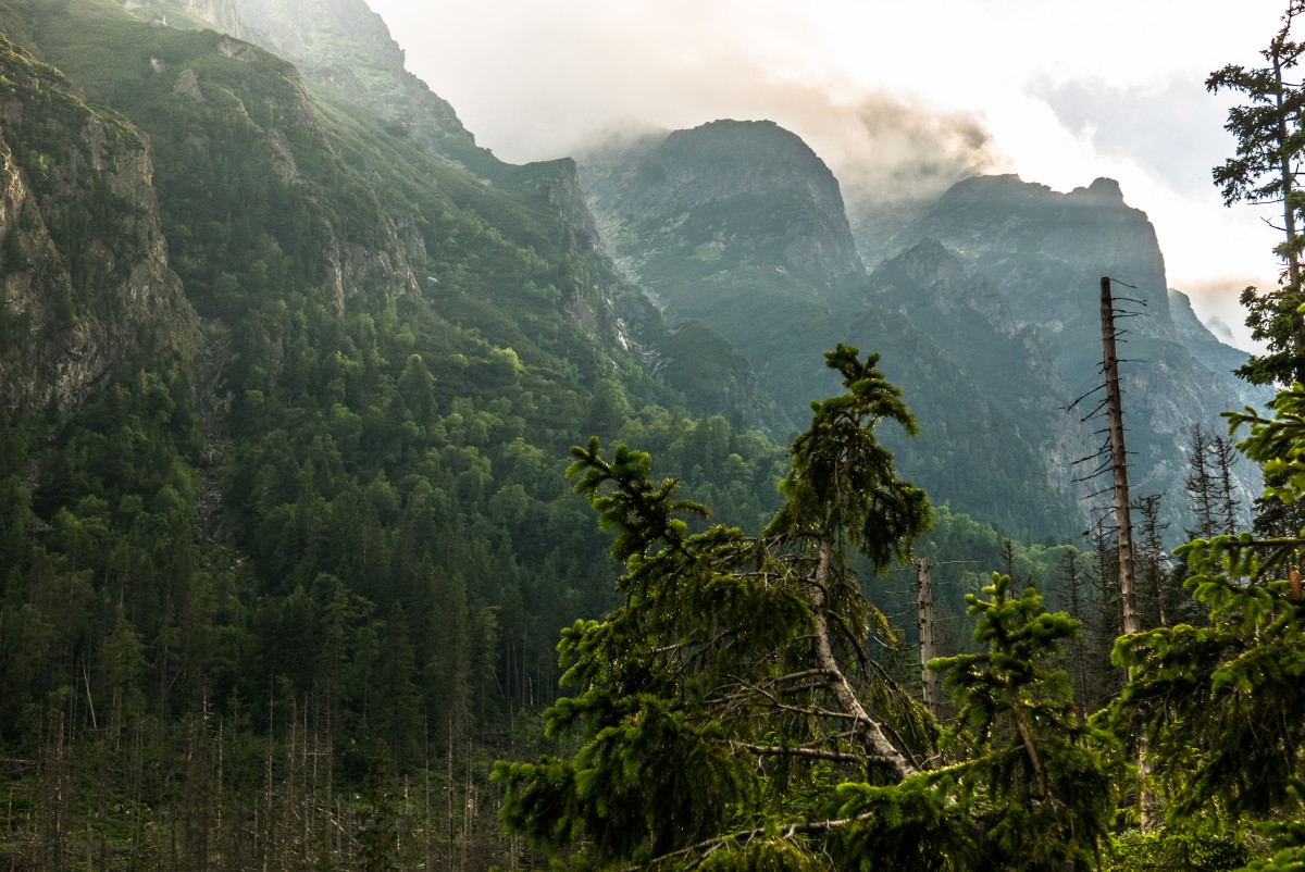Zdjęcia: tatry, Tatry wysokie, Kraina mroku, SłOWACJA Zdjęcia: tatry, Tatry wysokie, Kraina mroku, SłOWACJA