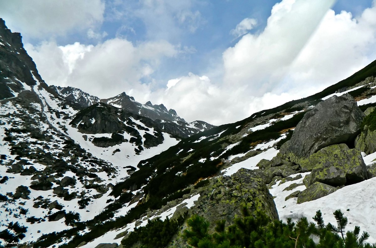 Zdjęcia: Szlak do Zbójnickiej Chaty., Wysokie Tatry., W Dolinie Staroleśnej., SłOWACJA Zdjęcia: Szlak do Zbójnickiej Chaty., Wysokie Tatry., W Dolinie Staroleśnej., SłOWACJA
