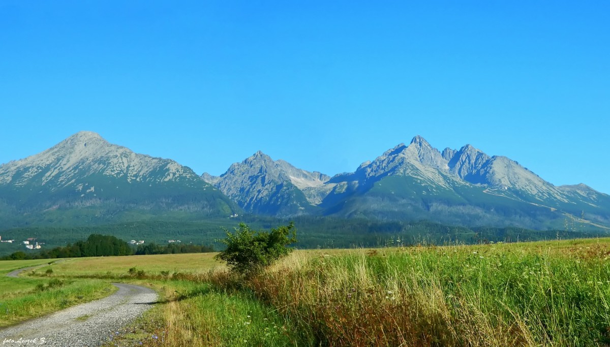 Zdjęcia: Nowa Leśna., Wysokie Tatry., Kręta droga na szczyt., SłOWACJA Zdjęcia: Nowa Leśna., Wysokie Tatry., Kręta droga na szczyt., SłOWACJA
