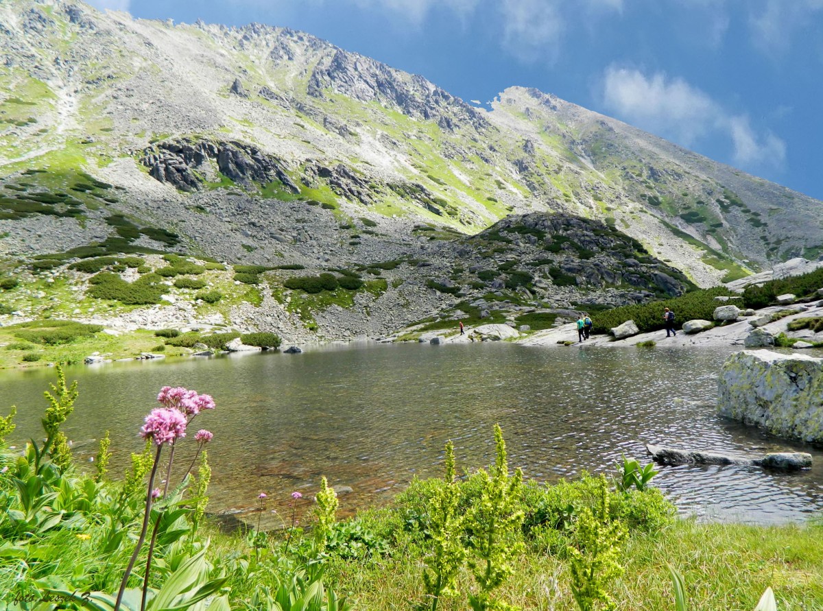 Zdjęcia: Dolina Młynicka., Wysokie Tatry., Staw nad Skokiem., SłOWACJA Zdjęcia: Dolina Młynicka., Wysokie Tatry., Staw nad Skokiem., SłOWACJA
