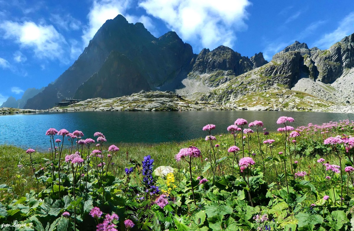 Zdjęcia: Dolina Pięciu Stawó Spiskich., Wysokie Tatry,, W Dolinie Pięciu Stawów Spiskich., SłOWACJA Zdjęcia: Dolina Pięciu Stawó Spiskich., Wysokie Tatry,, W Dolinie Pięciu Stawów Spiskich., SłOWACJA