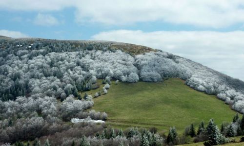 Zdjecie SOWACJA / Centralne Karpaty Zachodnie w Sowacji. Maa Fatra 2011  / Sowacja / Na grani