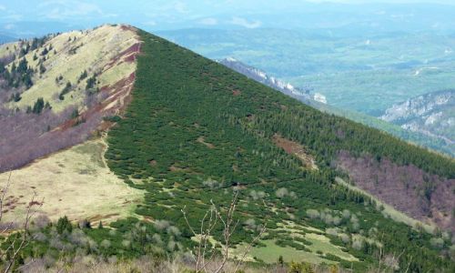 Zdjecie SOWACJA / Centralne Karpaty Zachodnie w Sowacji / Maa Fatra  / Freedoom