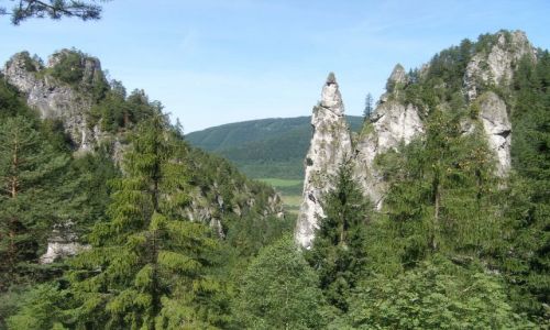 Zdjecie SOWACJA / Karpaty Zachodnie / Mala Fatra / Obszywanka