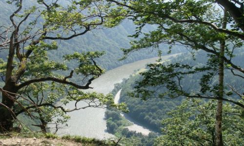 Zdjcie SOWACJA / Karpaty Zachodnie / Mala Fatra / Rzeka Wag (Vah)