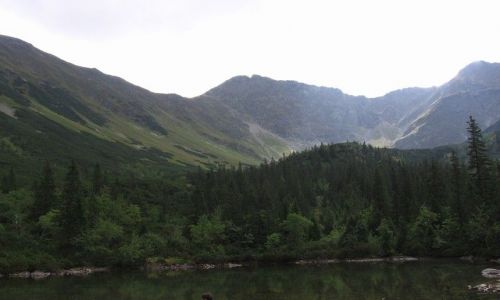 Zdjecie SłOWACJA / brak / Tatry / Rohacze - Zuberec