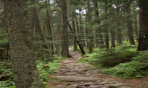 Zdjecie SOWACJA / - / Tatry / Pomiedzy Tatrami Wysokimi i Bielskimi