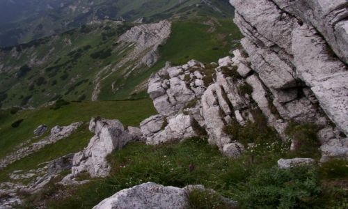 Zdjęcie SłOWACJA / - / Tatry Bielski / Okolice Szalonego Przechodu z bliska