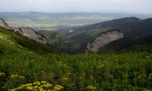 Zdjecie SOWACJA / Tatry Bielskie / Szlak ze dziaru na Szerok Przecz / Nad skaami