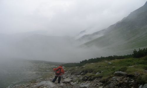 Zdjecie SOWACJA / Tatry Zachodnie / Dolina Spalona / Powrt we mgle