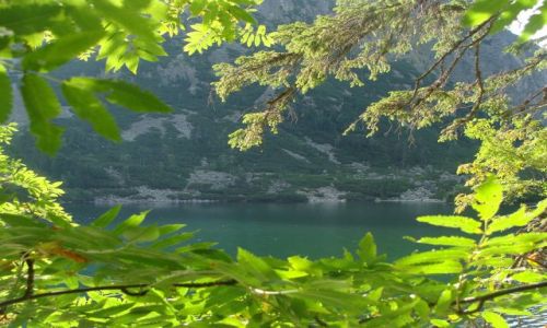 Zdjcie SOWACJA / Tatry / Popradske Pleso / Popradske Pleso