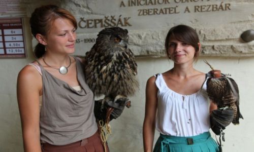 Zdjcie SOWACJA / Stara Lubownia / Zamek Lubownia / Sokolniczki z zamku