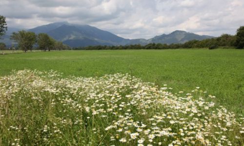 Zdjecie SOWACJA / Poprad / Na granicy popradzkiego i preszowskiego kraju / Patrzc na Niskie Tatry