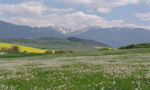 Zdjcie SOWACJA / Liptowski Mikulasz / Tatralandia / Wysokie Tatry, widok  z Liptowskiego Mikulasza