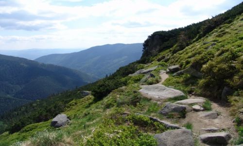 Zdjecie SOWACJA / Liptowski Mikulasz / Niskie Tatry / W drodze do Demanovskiej doliny
