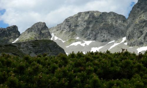 Zdjecie SOWACJA / sowacja / Tatry / Wysokie Tatry 