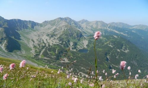 Zdjecie SOWACJA / Tatry  / .. / widok z okolic Woowca na Tatry Sowackie