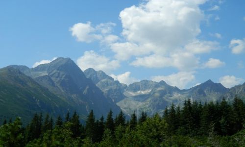 Zdjecie SOWACJA / Tatry  / .. / widok na Tatry 