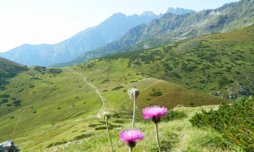 Zdjecie SOWACJA / tatry bielskie / gdzie na szlaku / Tatry Bielskie