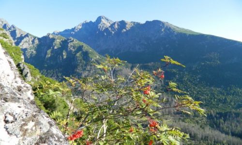 Zdjecie SOWACJA / Tatry  /  gdzie na szlaku na Sawkowski Szczyt / widok na omnicki Szczyt