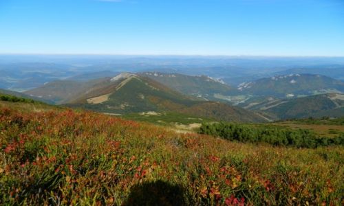 Zdjęcie SłOWACJA / SK. / widok z wielkiego Krivania  1709 npm / Mała Fatra