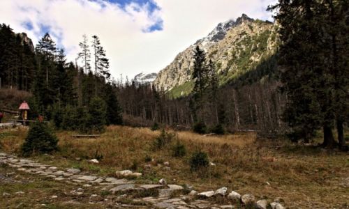 Zdjcie SOWACJA / Sowackie Tatry  Wysokie. / Dolinie Zimnej Wody. / Ku Wodospadom Zimnego Potoku.