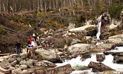 Zdjecie SOWACJA / Sowackie Tatry  Wysokie. / Dolina Starolena. / Wodospady Zimnej Wody.