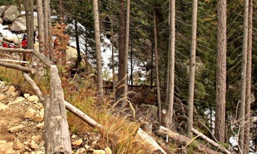 Zdjcie SOWACJA / Sowackie Tatry  Wysokie. / Dolina:Starolena. / W kierunku Doliny zimnej wody.