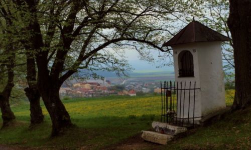 Zdjcie SOWACJA / Spis / Levoca / Levoca - powrot do miasta 