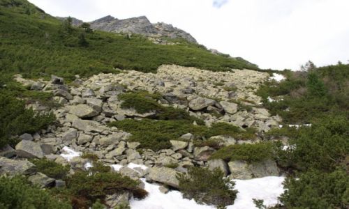 Zdjęcie SłOWACJA / Tatry / Mięguszowiecka Dolina / Mięguszowiecka Dolina