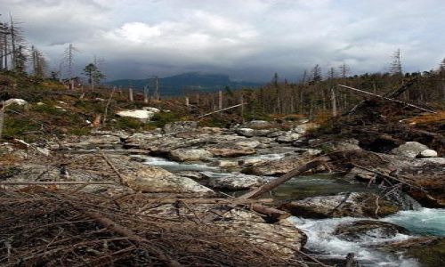 Zdjęcie SłOWACJA / Tatry Wysokie  /  Dolina Kazimierska  / na szlaku