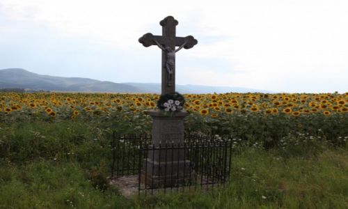 Zdjecie SOWACJA / Koszyce / Po drodze / Krzy