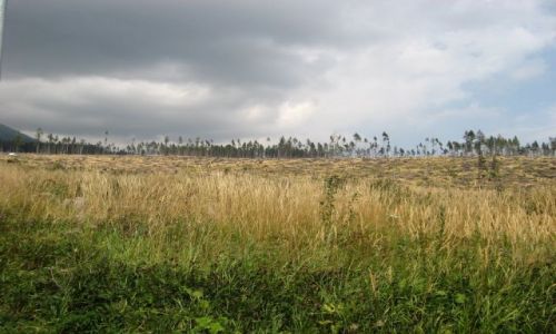 Zdjcie SOWACJA / brak / okolice Starego Smokowca / TATRY WYSOKIE [20] 