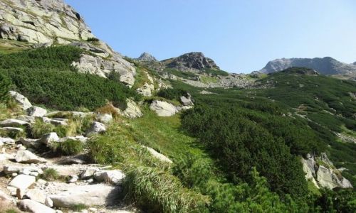 Zdjecie SOWACJA / brak / Miguszowiecka Dolina / TATRY WYSOKIE [25] 