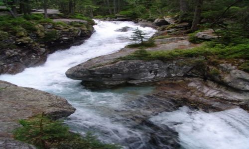 Zdjecie SOWACJA / Poprad / Dolina Zimnej Wody / Wodospadzik