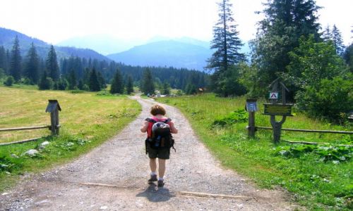 Zdjęcie SłOWACJA / Wysokie Tatry / Javorova Dolina / Javorova Dolina