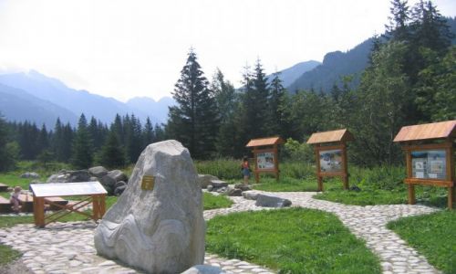Zdjęcie SłOWACJA / Wysokie Tatry / Javorova Dolina / Javorova Dolina