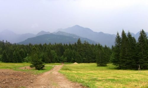 Zdjęcie SłOWACJA / Wysokie Tatry / Javorova Dolina / Javorova Dolina