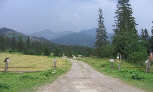 Zdjęcie SłOWACJA / Wysokie Tatry / Javorova Dolina / Javorova Dolina