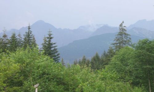 Zdjęcie SłOWACJA / Wysokie Tatry / Javorova Dolina / Javorova Dolina