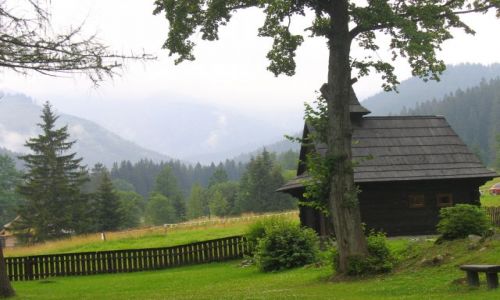 Zdjecie SOWACJA / Wysokie Tatry / Javorova Dolina / Javorova Dolina