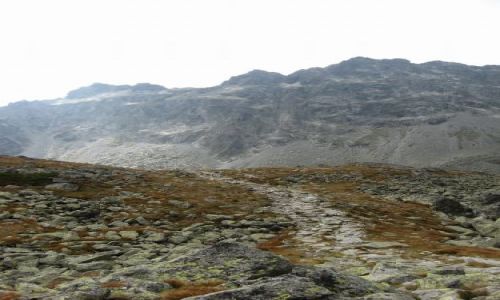 Zdjecie SOWACJA / brak / koo Zmarzego Stawu / TATRY WYSOKIE [45]