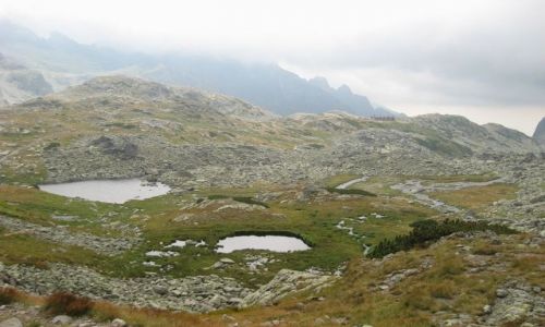 Zdjecie SOWACJA / brak / Starolena Dolina / TATRY WYSOKIE [47]
