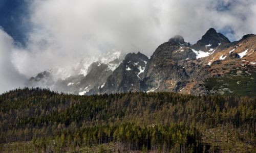 Zdjecie SOWACJA / Tatry / omnicki Szczyt / omglone