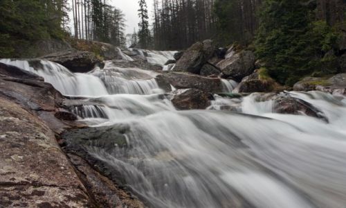 Zdjecie SOWACJA / Tatry / Hrebienok / z pen si