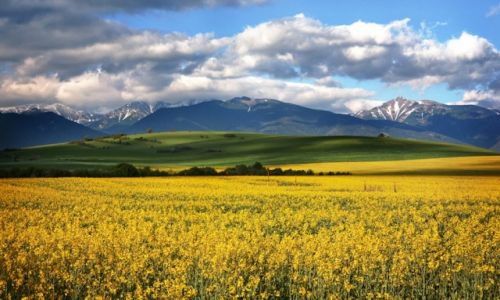 Zdjecie SOWACJA / Tatry / okolice Liptowskiego Mikulasza / w kolorze wiosny